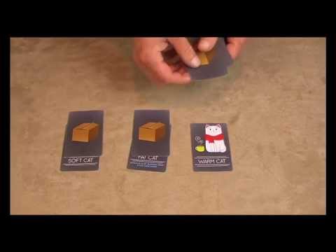 Open the Box Games pReviews SchWag: Schrödinger's Wager by Stellaris Games