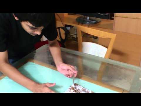 BHARGAV'S BIRTHDAY CAKE.........