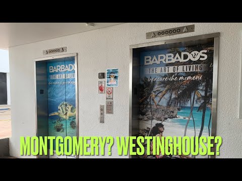 Montgomery? Westinghouse? Crappy Glass Hydraulic elevators @ Bayside Market Place (PG) - Miami, FL