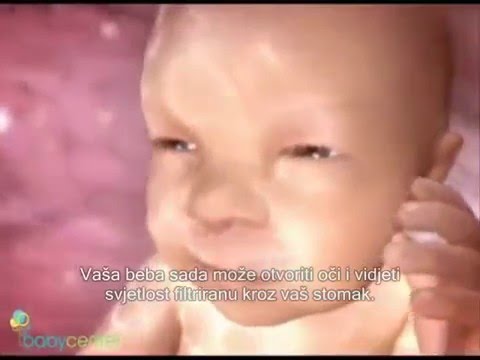 Začeće, trudnoća i porod  (ukratko sa prevodom)