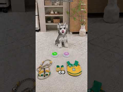 🐶⚽ Ten pies jest wielkim fanem Ronaldo! 😳❤️#shorts #viralvideo