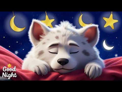 Relax In No Time video