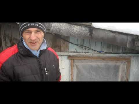 Советы начинающим по козоводству. Выбор породы коз.Содержание и нюансы.Случка коз.