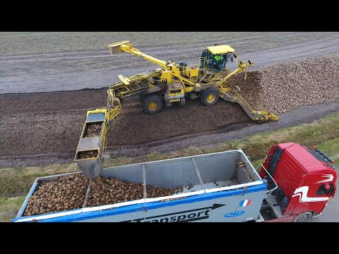 ROPA EURO MAUS 5 loading sugar beet | Zückerrüben überladen | cabview