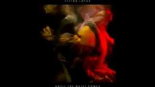 Getting there - Flying Lotus ft. Niki Randa
