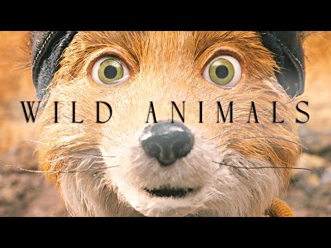 Fantastic Mr Fox | Wild Animals