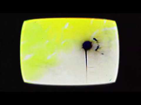 The Twang - Tinseltown in the Rain (Official Visualiser)