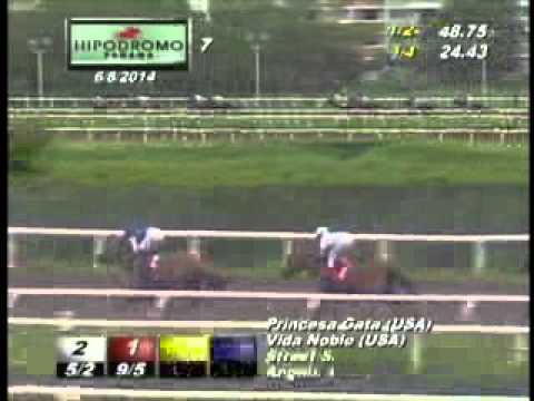 7MA CARRERA DOMINGO 8 DE JUNIO DE 2014