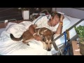 Denali A Tribute To Man S Best Friend OFFICIAL VIDEO