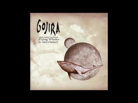 Gojira - Flying Whales [Re - Tuned to Standard E]