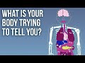How To Listen To Your Body