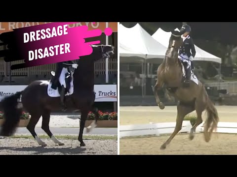 Dressage Disaster: Heartbreak For Howington & Putten At Tokyo Olympic Dressage Trials