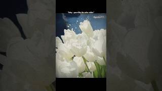 Jogi - Yasser Desai, Aakanksha Sharma | When love feels eternal… it becomes divine ❤️‍🔥|#shortsfeed