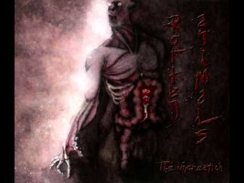 ROTTEN ANIMALS - THE UNCREATION  -ST-