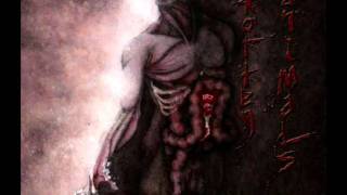 ROTTEN ANIMALS - THE UNCREATION  -ST-