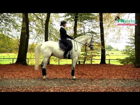 Ganze Parade - Grundausbildung für Reiter und Pferd