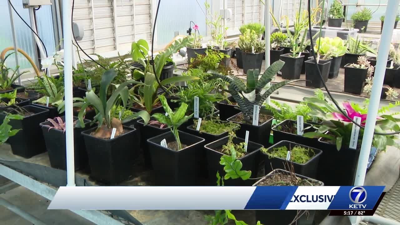 Sustainability Lab saves money for Bellevue University