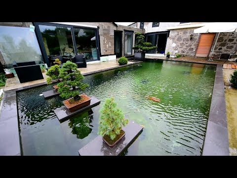 Modern Koi Blog #1916 - First stocking of Ralf's 110,000 liter dream pond