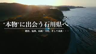 動画1