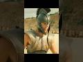 You can end this war with a swing of your sword. #troy #bradpitt #briancox #jamescosmo #movie