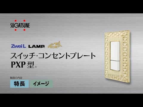 スガツネ工業 210025957 PXP-F-01311-CCBスイッチプレート・コンセントプレート PXP-F-01311-CCB スガツネ工業 株 電設配線部品 プラグ コンセント 代引不可 スガツネ工業 (210025957)PXP-F-01311-CCBスイッチプレート