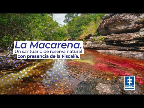 La Macarena, un santuario de reserva natural con presencia de la Fiscalía 