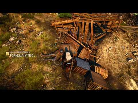 Let's Play Witcher 3 The Wild Hunt Pt. 48