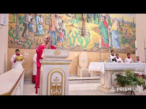 Transmissão ao vivo de Paróquia Nossa Senhora  Conceição de Pedro II-PI