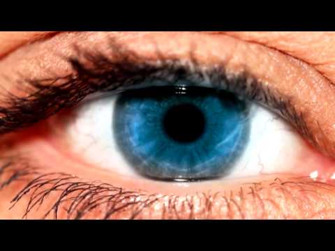 Aquesta és sa bona: Campanya de socis 2015/16