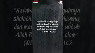 Download lagu Ya Allah, Aku Pasrah Pada MU - Ustadz Adi Hidayat #muhasabahdiri #shorts #storywa mp3