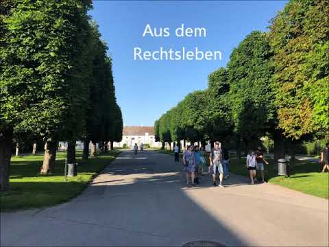 Eduard Strauss: Aus dem Rechtsleben, Opus 126