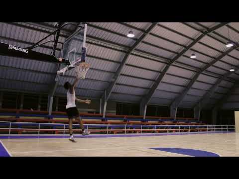 MOISXS MVSIC - TRAPPING (Visualizer) | THE TEACHER