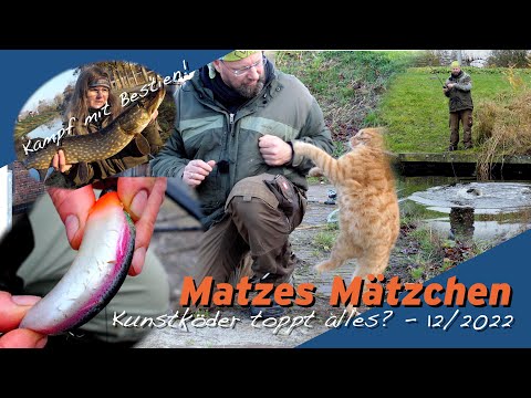 Matze Koch: Angel-Erfolg! Natur- oder Kunstköder? Matzes Mätzchen 12/2022