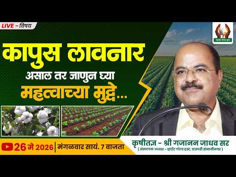 कापुस लावनार असाल तर जाणुन घ्या महत्वाच्या मुद्दे