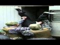 Юрий Шевчук - РОДИНА 