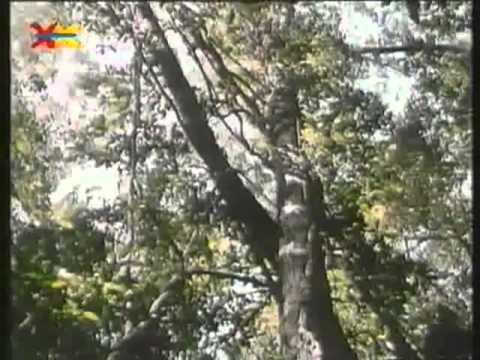 Mittendrin 30 in der Regenwaldabteilung - Umweltmagazin mit Peter Lustig