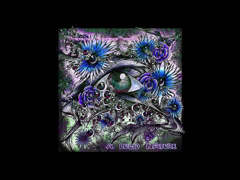 Mettakin & Dubnotic with Lo.renzo - Algorythmik | Chill Space