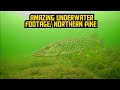 Video Thumbnail for Amazing underwater footage of northern pike.