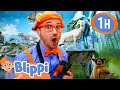 Blippi Visits A Nature Center MK 1 HOUR OF BLIPPI TOYS Animal Videos For Kids