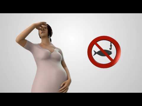 3D Animated Video For Nutricharge Dha -100 Vegetarian DHA For Pregnant Women