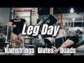 Never Satisfied | BIG Leg Day | Hamstrings Glutes Quads