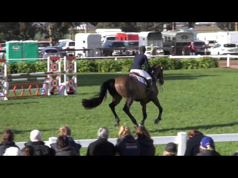 "Cobra de Capello" & Rachael Lee, CCI1* SJ, Melbourne CCI, June 2015