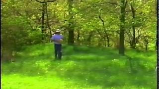 Lullaby - Pedro the Lion