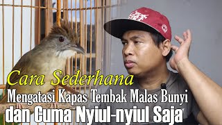 Download lagu cotton shooting care jammed sound mp3 Download lagu cotton shooting care jammed sound mp3