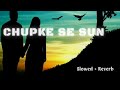 Chupke Se Sun Hindi Lo Fi Song Mission Kashmir Alka Yagnik Udit Narayan Priti Zinta