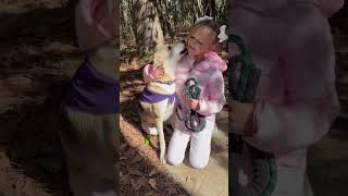 Video preview image #1 Mutt Puppy For Sale in The Woodlands, TX, USA