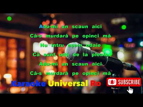 NELUTA BUCUR   Cade ploaia pe-nserate   Karaoke Universal Ro