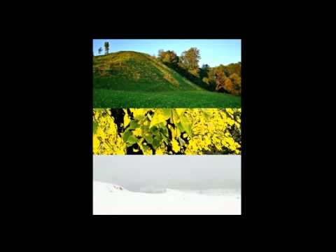 Palinkėjimas Lietuviams. Veronika Povilionienė, 2015