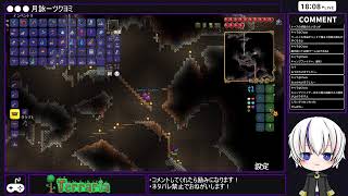 【Terraria】初心者2人がテラリアしたら、スライムになりました【配信】