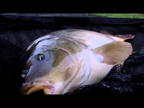 Magyar Vizeken Szücsi Nagy-Völgy tó Promo előzetes